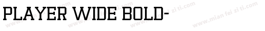 Player Wide Bold字体转换
